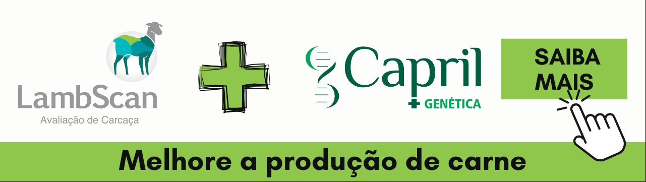 LambScan e +Genética LambScan e +Genética