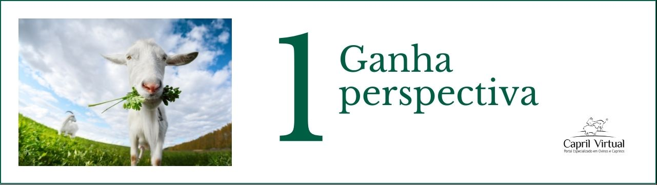 # 1 Ganha perspectiva