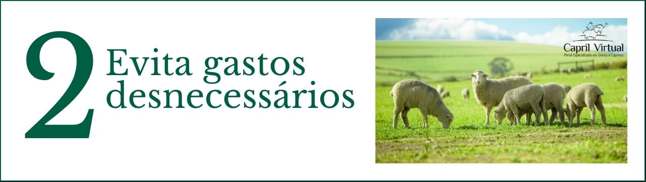 # 2 Evita gastos desnecessários